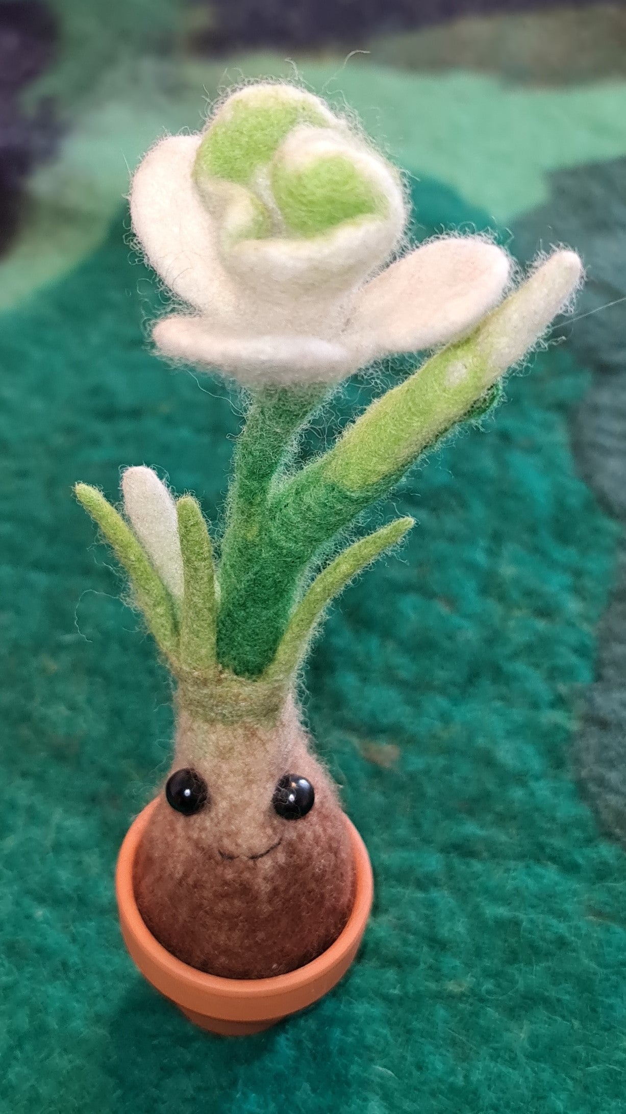 Blumenzwiebali