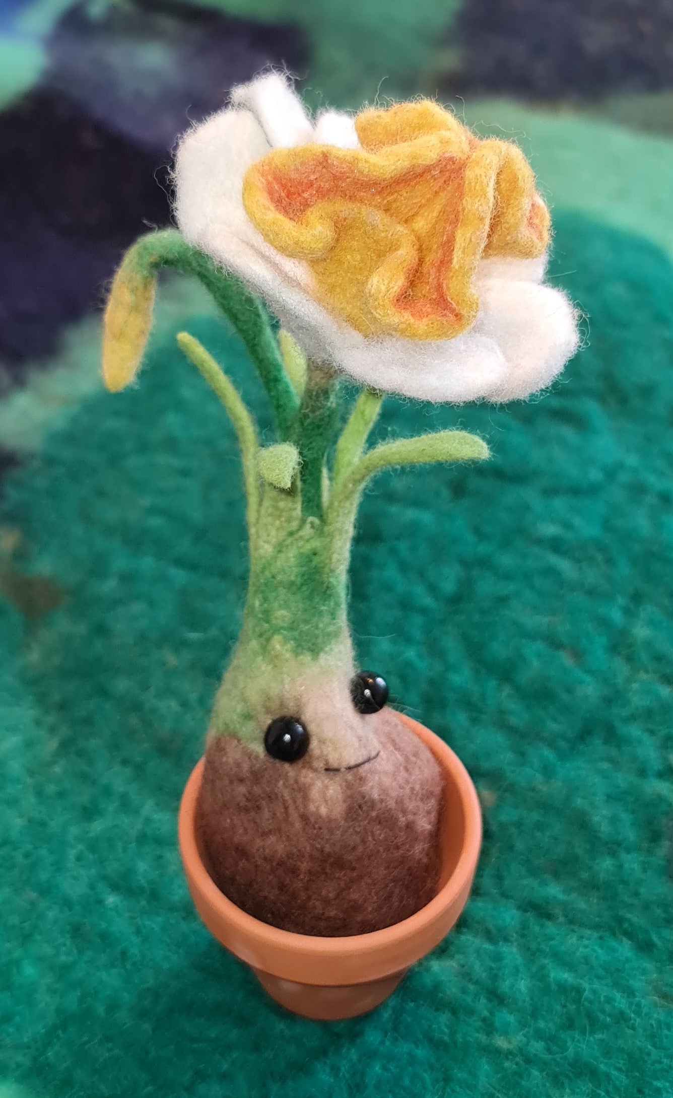 Blumenzwiebali