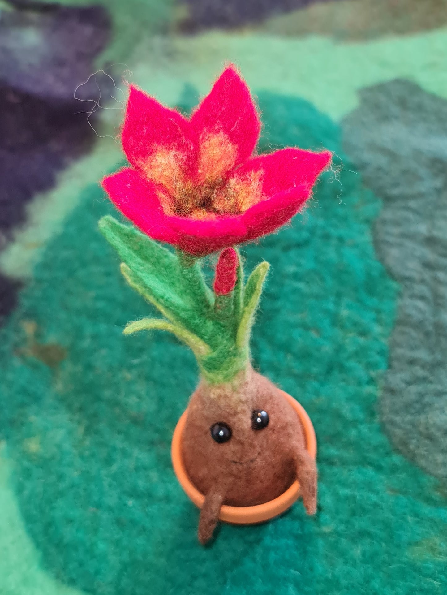 Blumenzwiebali Frühling