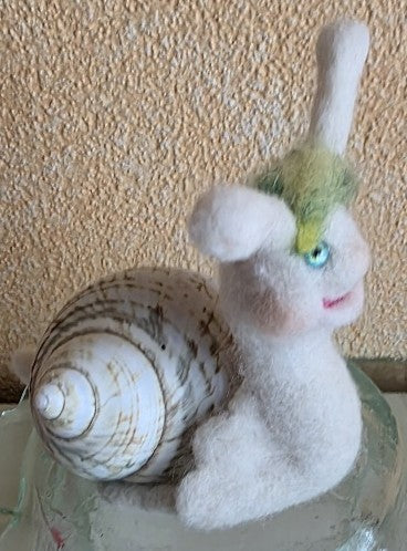 Rennschnecke Speedy