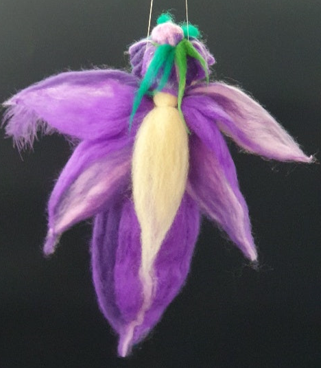 Viola