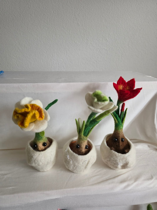 Blumenzwiebali Frühling
